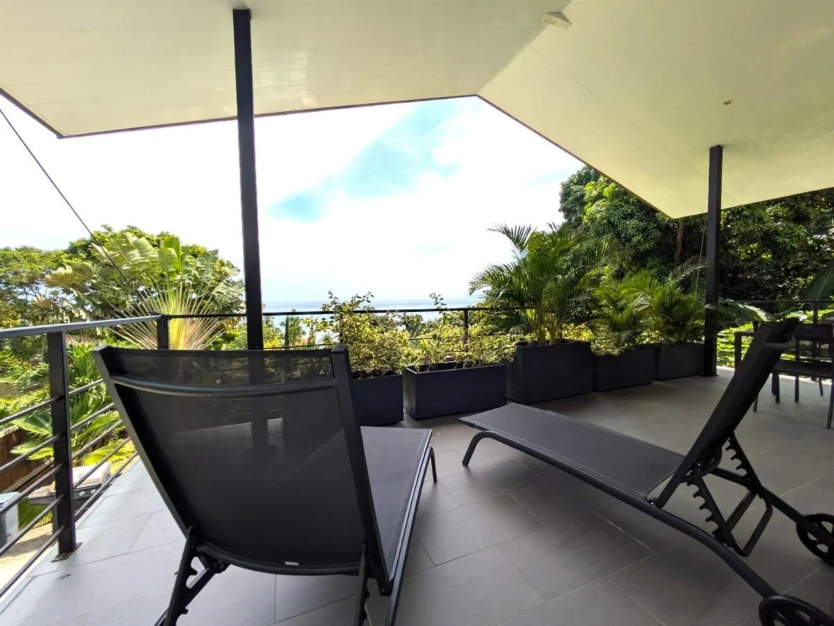 Fare Painapo - Spacious, Modern, Beautiful View Paea Villa